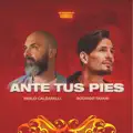 Ante Tus Pies