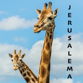 Jerusalema (Guitar Ukulele Version) artwork