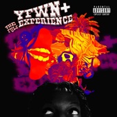 YunFuckingWhyNot?+: The Full Experience artwork