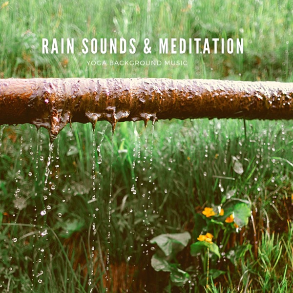 Rain Sounds & Meditation