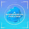 A Wonderful Feeling - Single