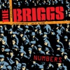 The Briggs