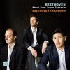 Beethoven Trio Bonn - Triple Concerto in C Major, Op. 56: II. Largo (Arr.for Piano)
