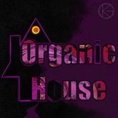 Organic House artwork