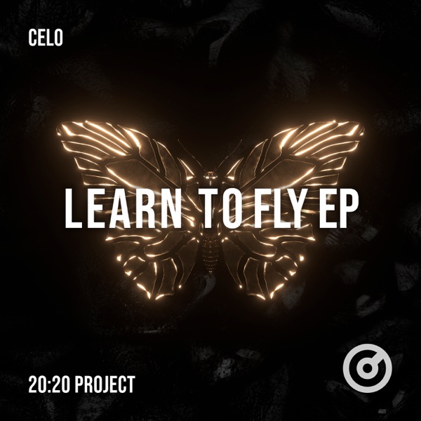 Learn to Fly - Single