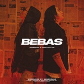 Bebas (Instrumental) artwork