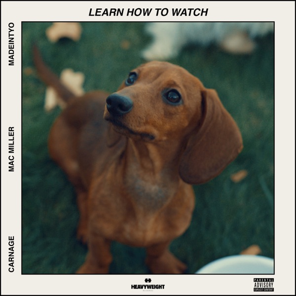 Learn How to Watch (feat. MAC MILLER & MadeinTYO) - Single - Carnage