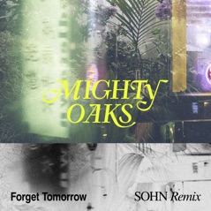 Forget Tomorrow (SOHN Remix) - Single