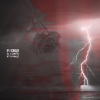If I Could (feat. Reji.) - Single - Daeshaun Cain