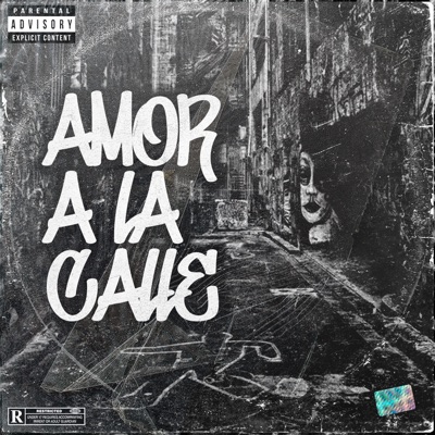 Amor a la Calle (feat. Lion DM & Jeicoth) - Single