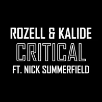 Critical — Rozell & Kalide