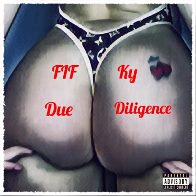 Due Diligence - Single
