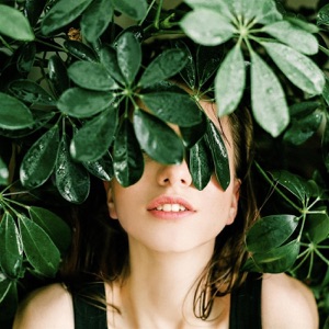 Gentle Forest Rain - Single