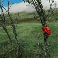 Holy Discover - Single - Ollane