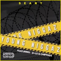 Young N****z (feat. D-Lo & Chippass) - Single - Seany