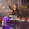 Regime Fechado - Priscila Carolynne lyrics