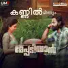 Rahul Subrahmanian, Karthik, Nithya Mammen & Joe Paul - Kannil Minnum (From "Meppadiyan")