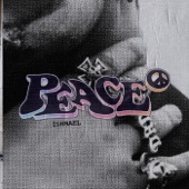 Peace artwork