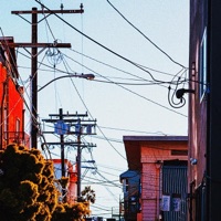 Puppy Love - Single - Burbank