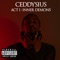 Entities (feat. Frank Fisher) - Ceddysius lyrics