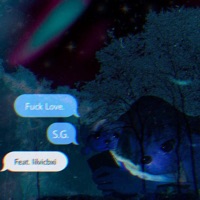 Fvck Love (feat. lilvicbxi) - Single - S.G.