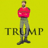 Trump artwork