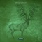Dynamic Effect - Z Musto lyrics