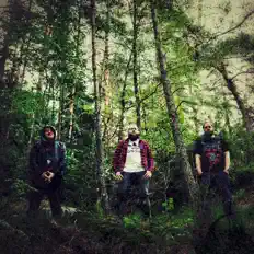 聆聽 Catharist、觀看音樂影片、閱讀小傳、查看巡演日期等！