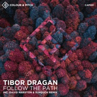 Follow the Path - Single - Tibor Dragan, SumSuch & David Marston
