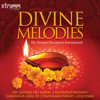 Divine Melodies - The Greatest Devotional Instrumentals - Various Artists