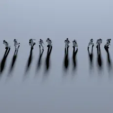 Ascolta BAWK, guarda video musicali, leggi la biografia, vedi le date del tour & altro!