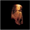 Get Born Again cover art