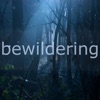 Bewildering - Single