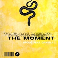 The Moment (feat. Daniela) - Single - Apolø