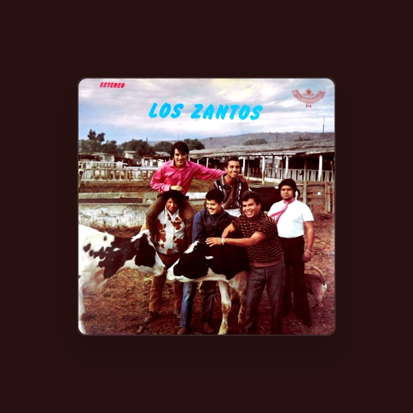 Los Zantos's avatar