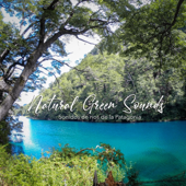 Sonido de arroyo en la patagonia