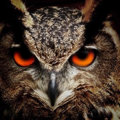 Night OWL (feat. D1r) - Single