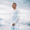Pelle - Aste lyrics