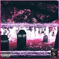 Devil From Tha $outh $ide - Single - Yvng Vadr