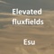 Esu - Elevated Fluxfields lyrics