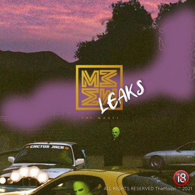 Leaks (What we did when you weren't looking) - EP