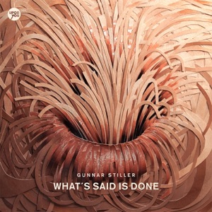 What's Said Is Done - Single