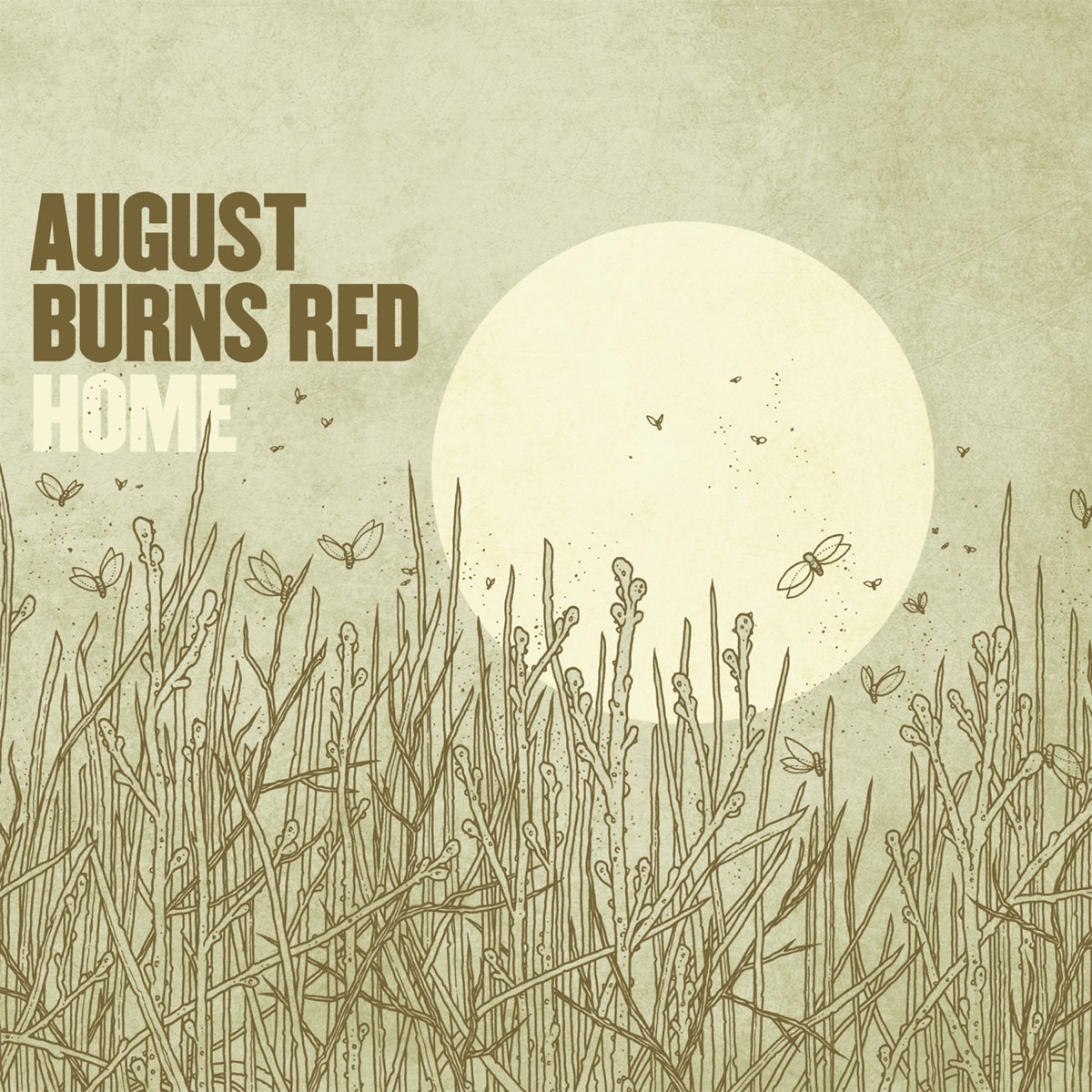 Альбом «Home» (August Burns Red) в Apple Music