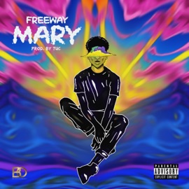 Mary Freeway