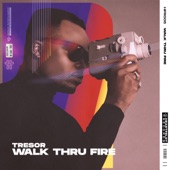 Walk Thru Fire artwork