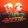 Os Mandrake Curte a Vida by MC Ryan SP, MC Paulin da Capital iTunes Track 1