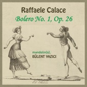 Bolero No. 1 in G Minor, Op. 26 artwork