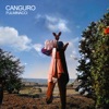 Canguro by Fulminacci iTunes Track 1