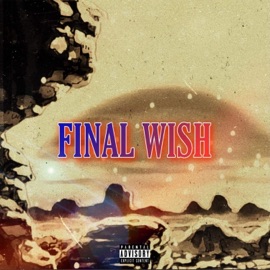 Final Wish (feat. Aaron Cohen) Keepin' It Cloudy