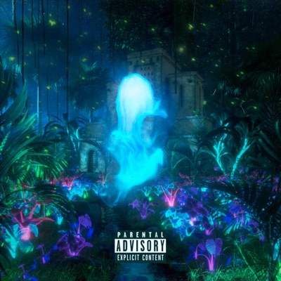 L'entité - EP